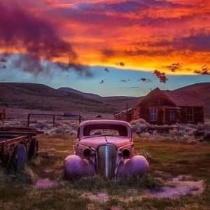 Meet your Posher, Ron